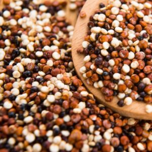 Quinoa tricolor ecológica