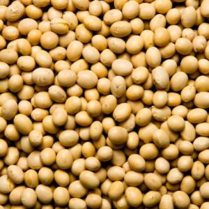 Soja amarilla o blanca