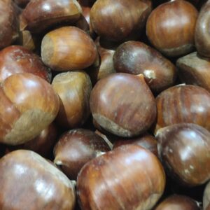 Castañas nacional ecológica