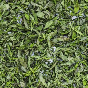 Menta