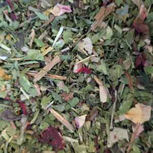 Tisana Antioxidante Ecológica